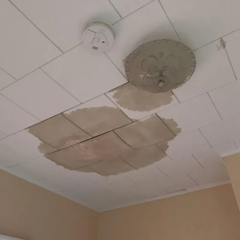 Ceiling Water Damage Repair in Manchester, TN