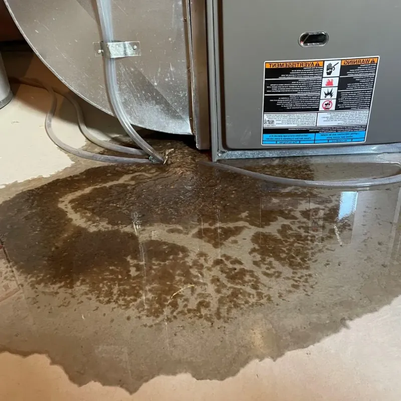 Pipe Burst and Leak Restoration in Manchester, TN