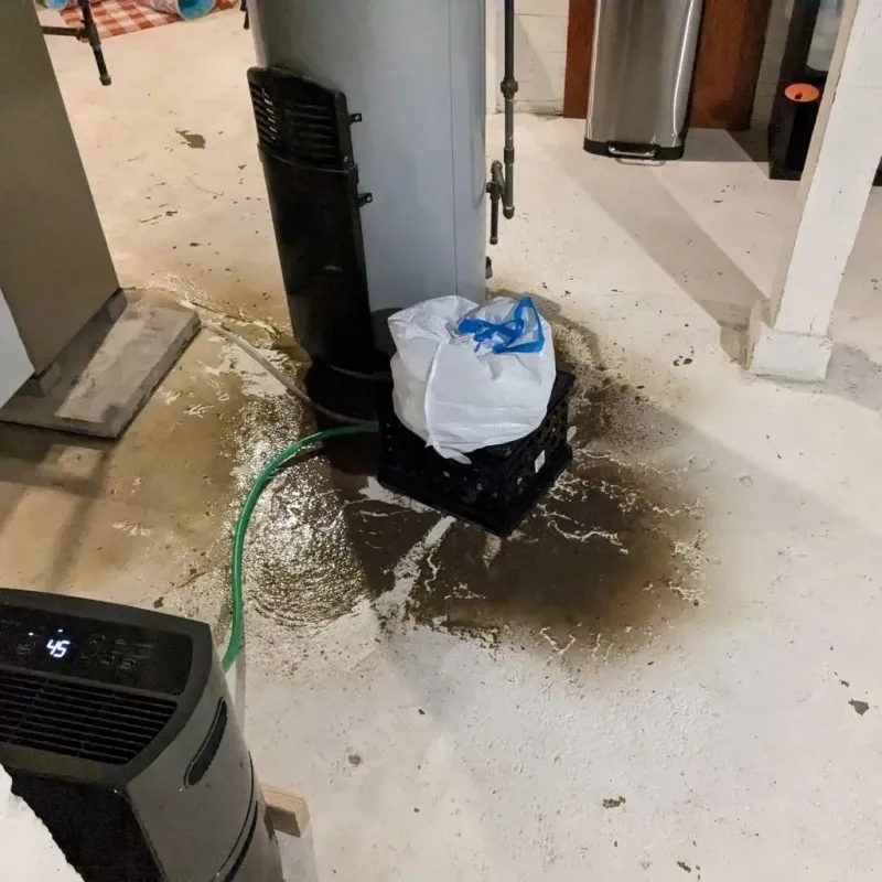 Sewage Backup Cleanup Service in Manchester, TN
